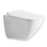 Wall Mounted WC