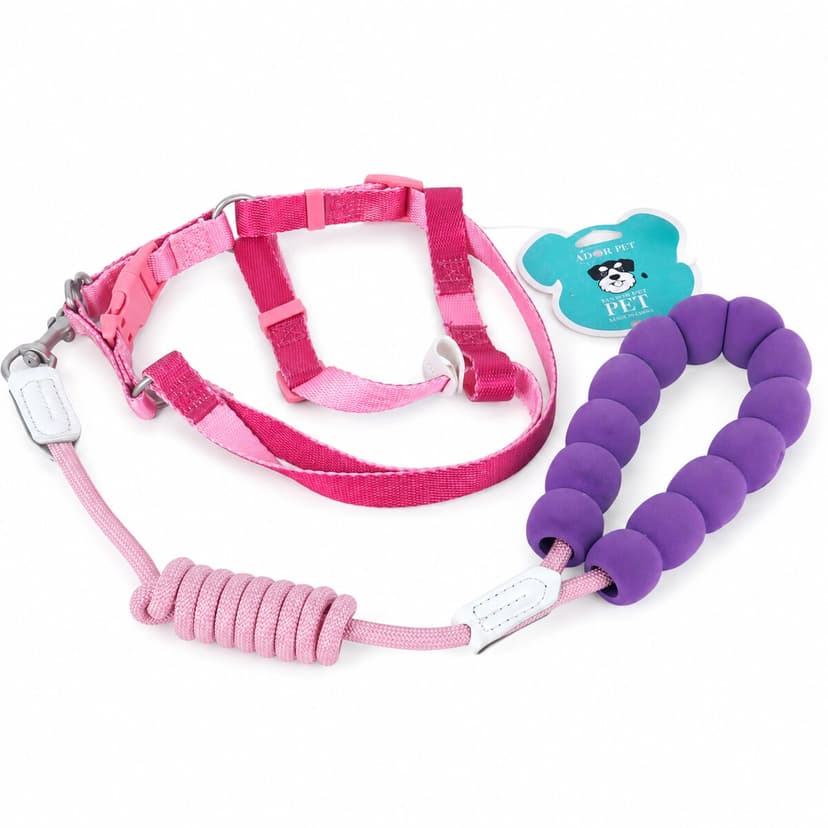 Pet Harness with Safety Belt