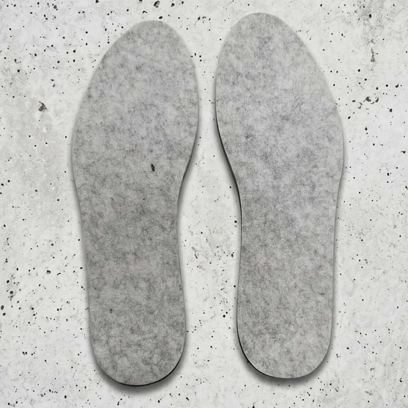 Shoe Insole