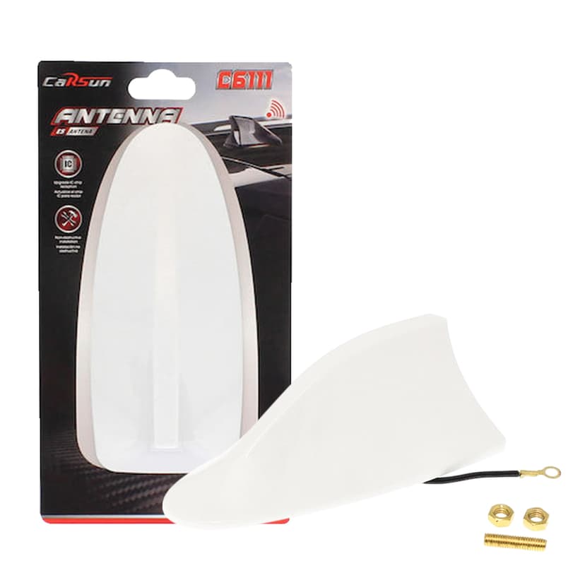 Buick Car Antenna