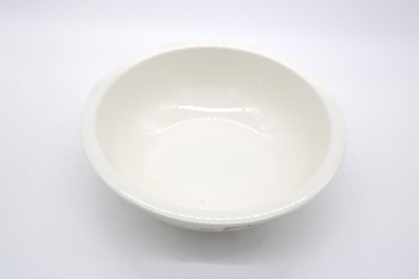 Dinner Plate