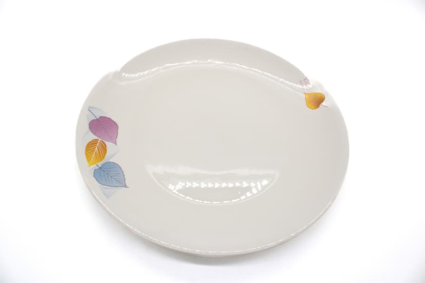 Dinner Plate