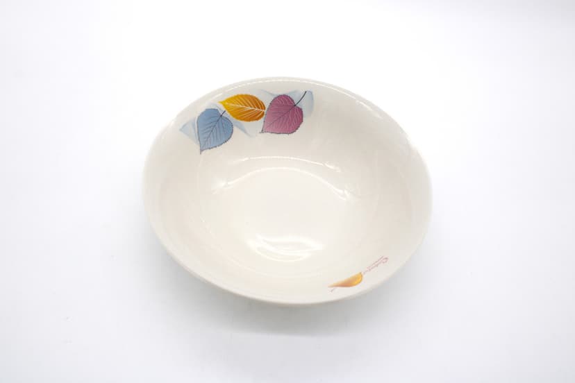 Dinner Plate
