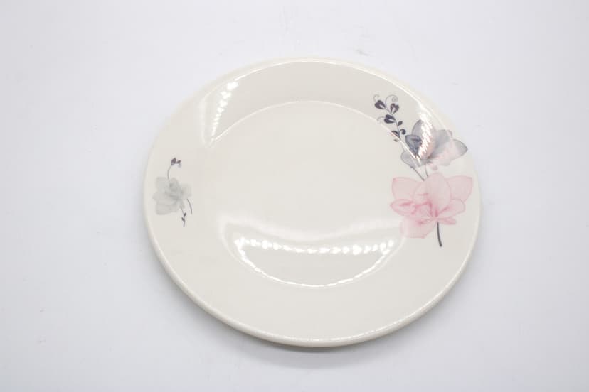Dinner Plate