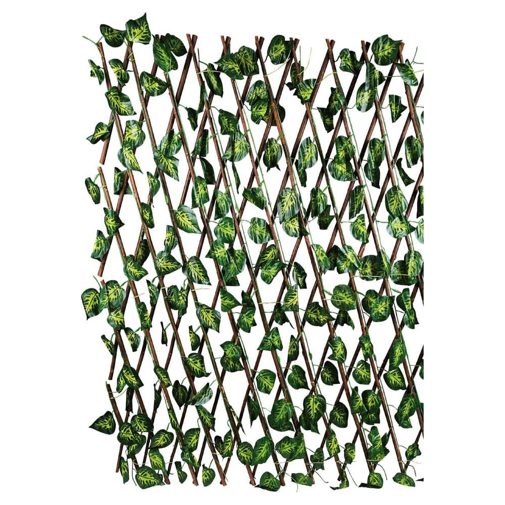 5601000081591_1