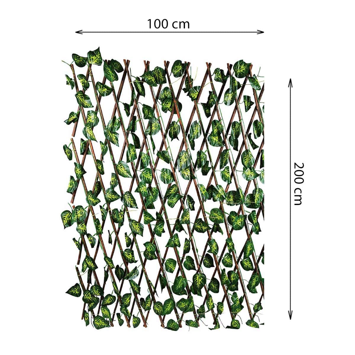 5601000081591_2
