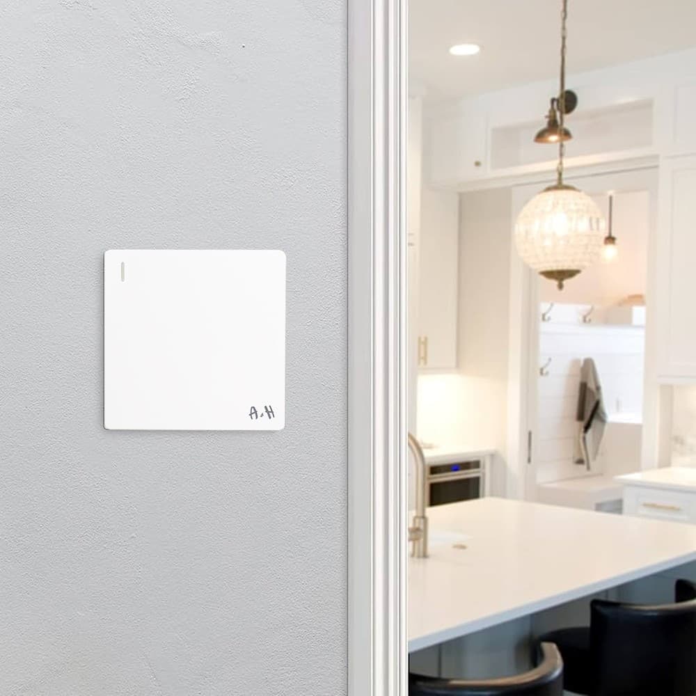 1Gang 1Way Plate Switch 10Y