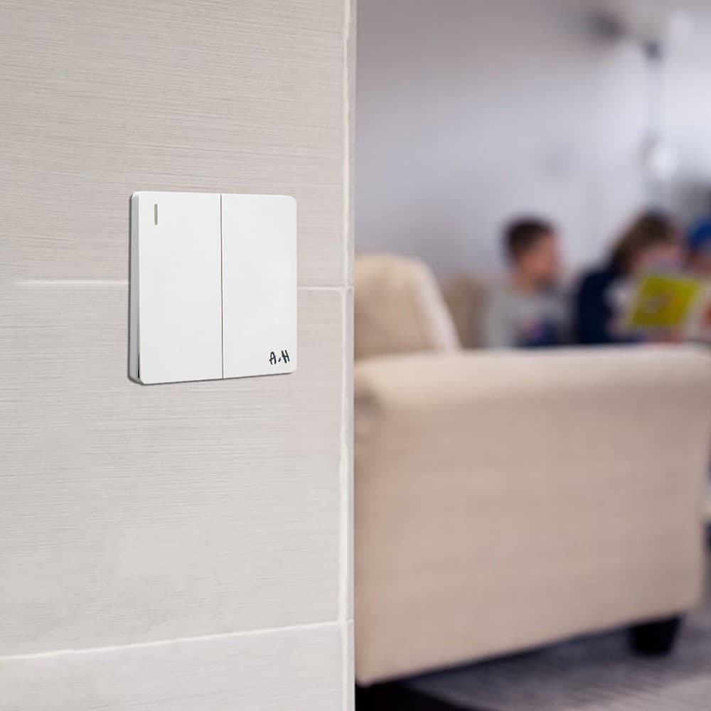 2Gang 1Way Plate Switch 10Y