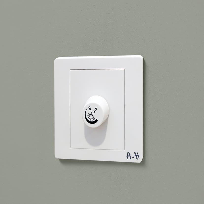 Light Dimmer Switch 1000W