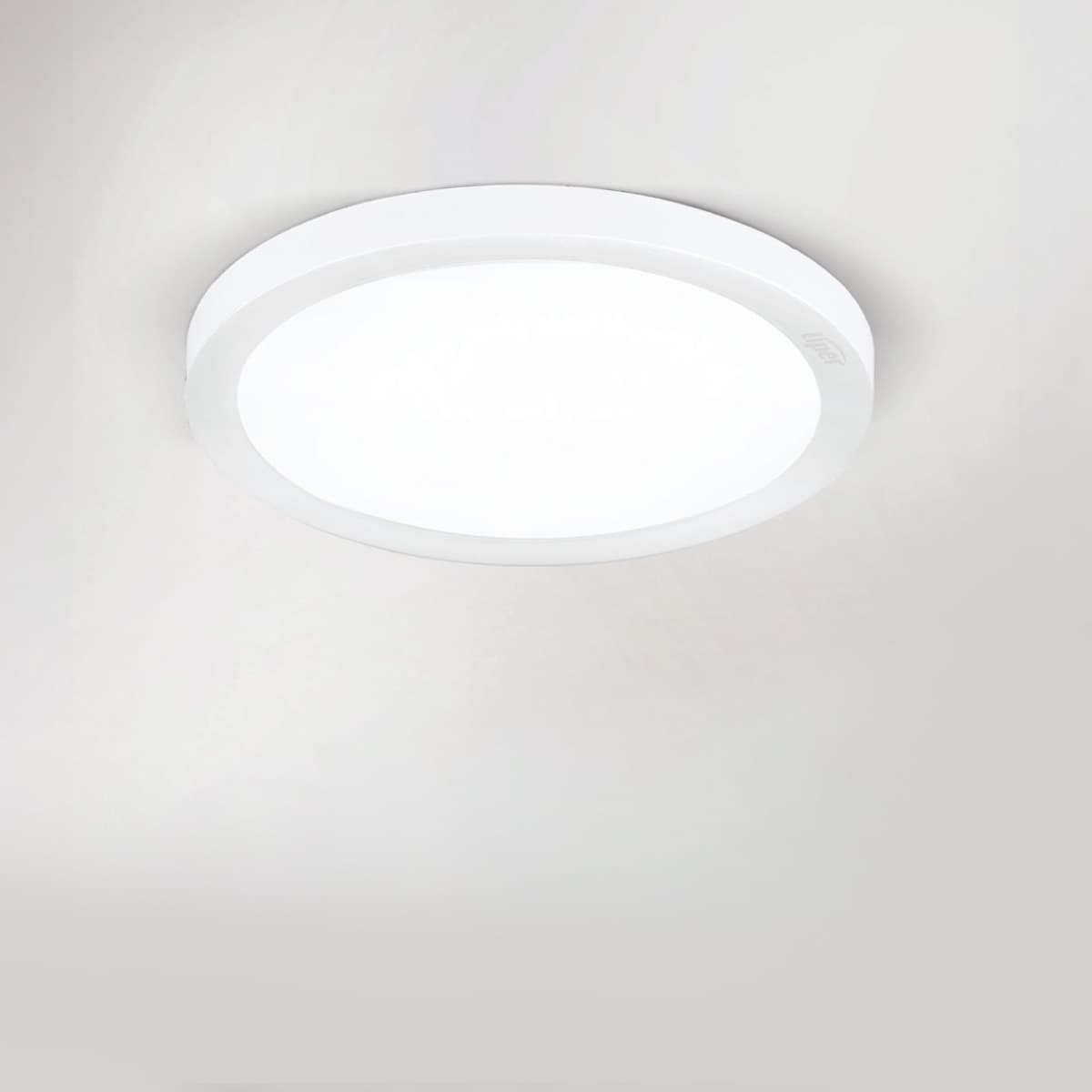 Product Image 5702000199085 (Slot 1)