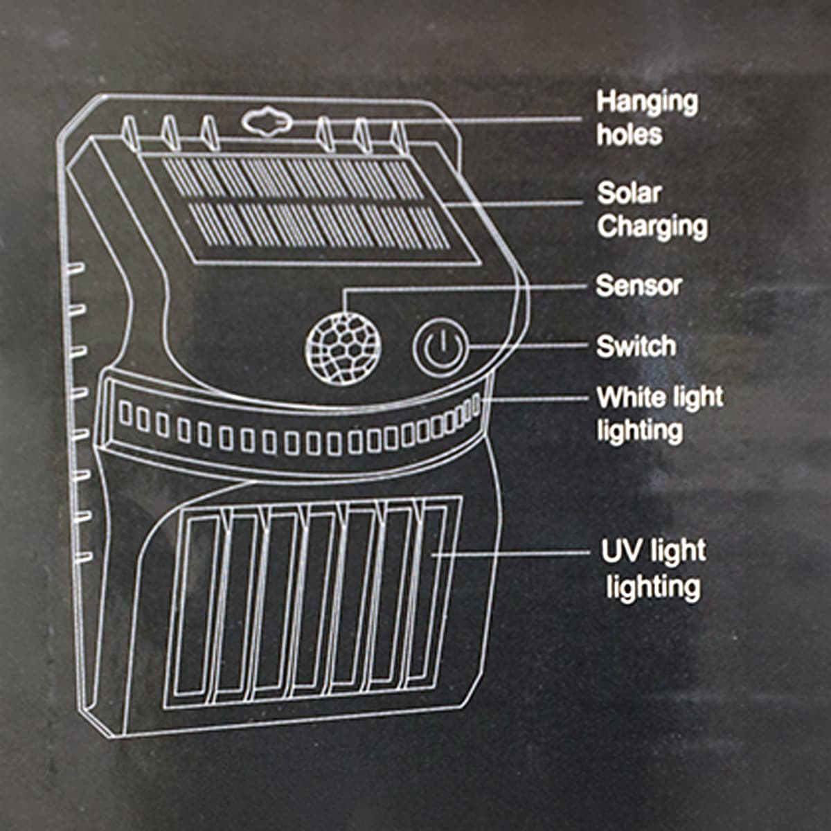 Product Image 5702000224152 (Slot 6)