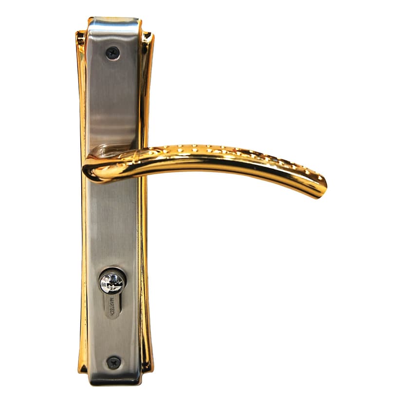 Modern Door Lock with Plate