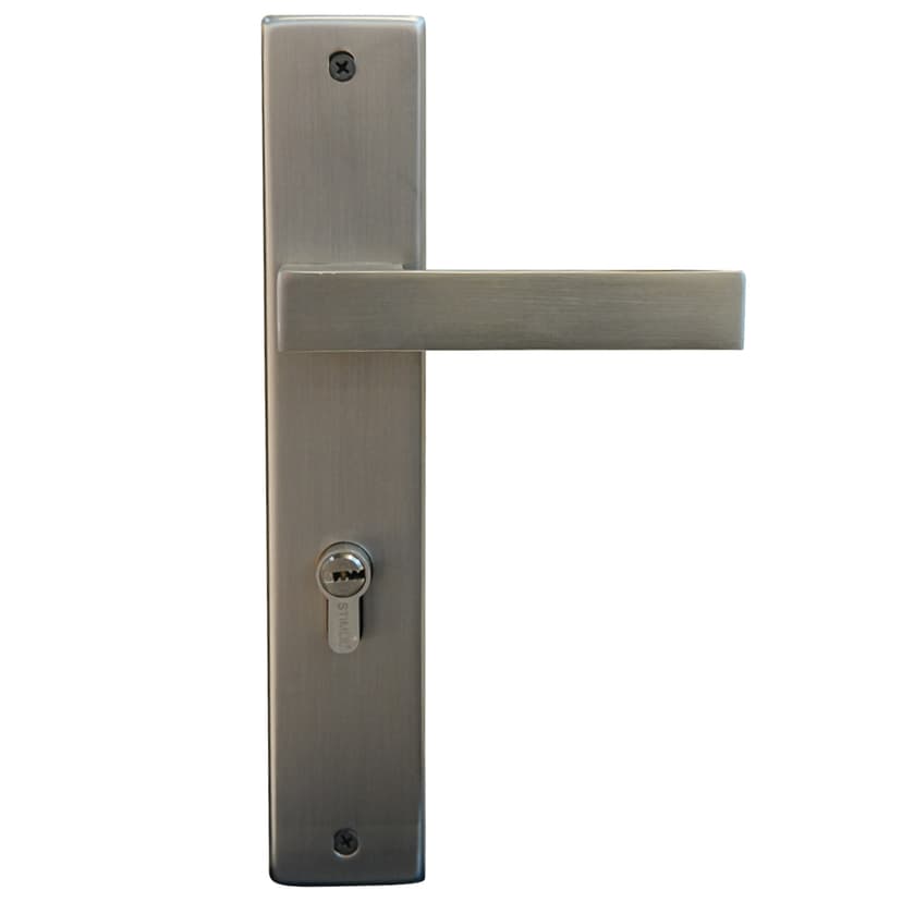 Modern Door Lock with Plate