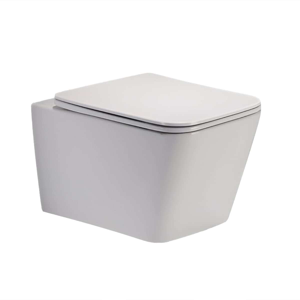 WALL HUNG TOILET - WHT(1BOX)