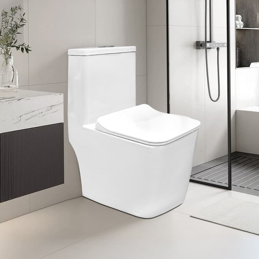 One-Piece Water Closet