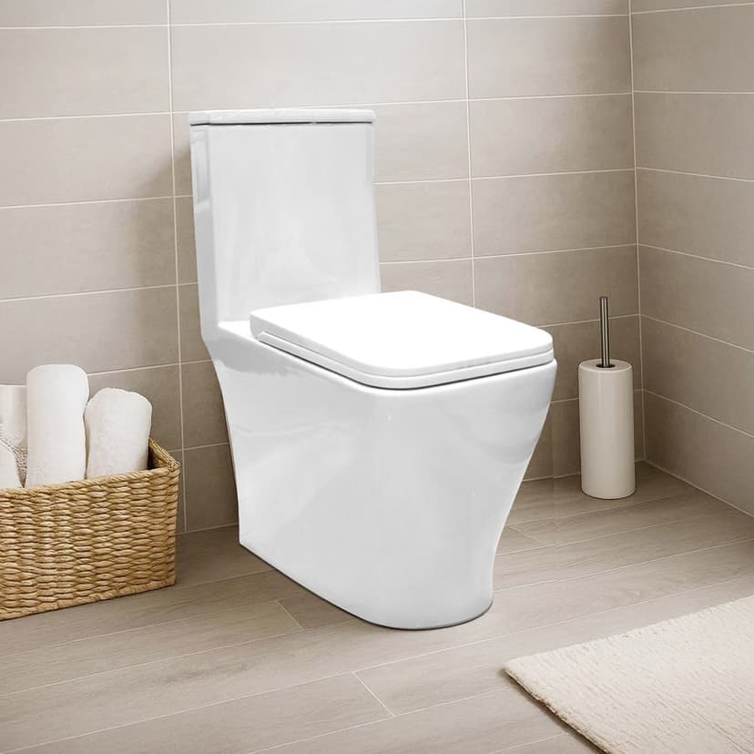 Water Closet Siphonic 1pcs