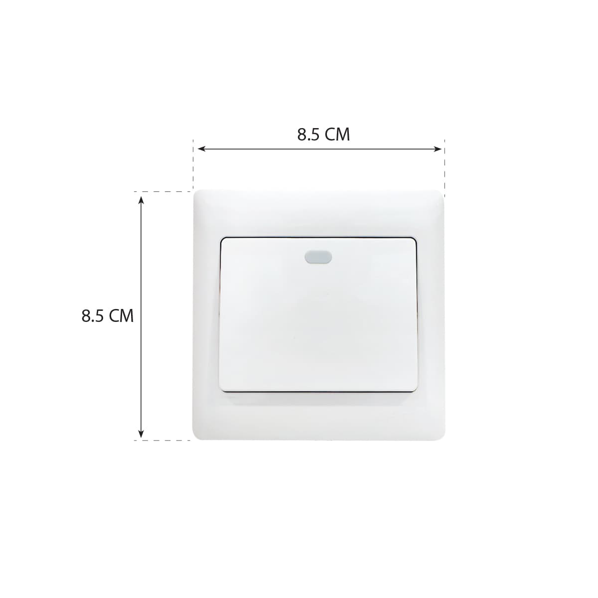 Switch 1G1W 10A 250V 10Y