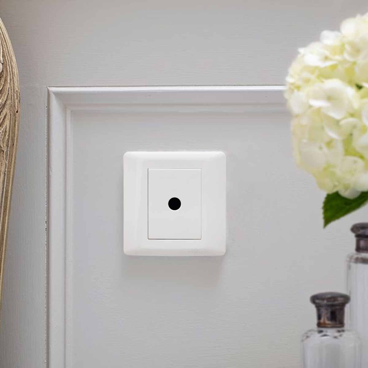Switch 1G Sat Socket 10Y