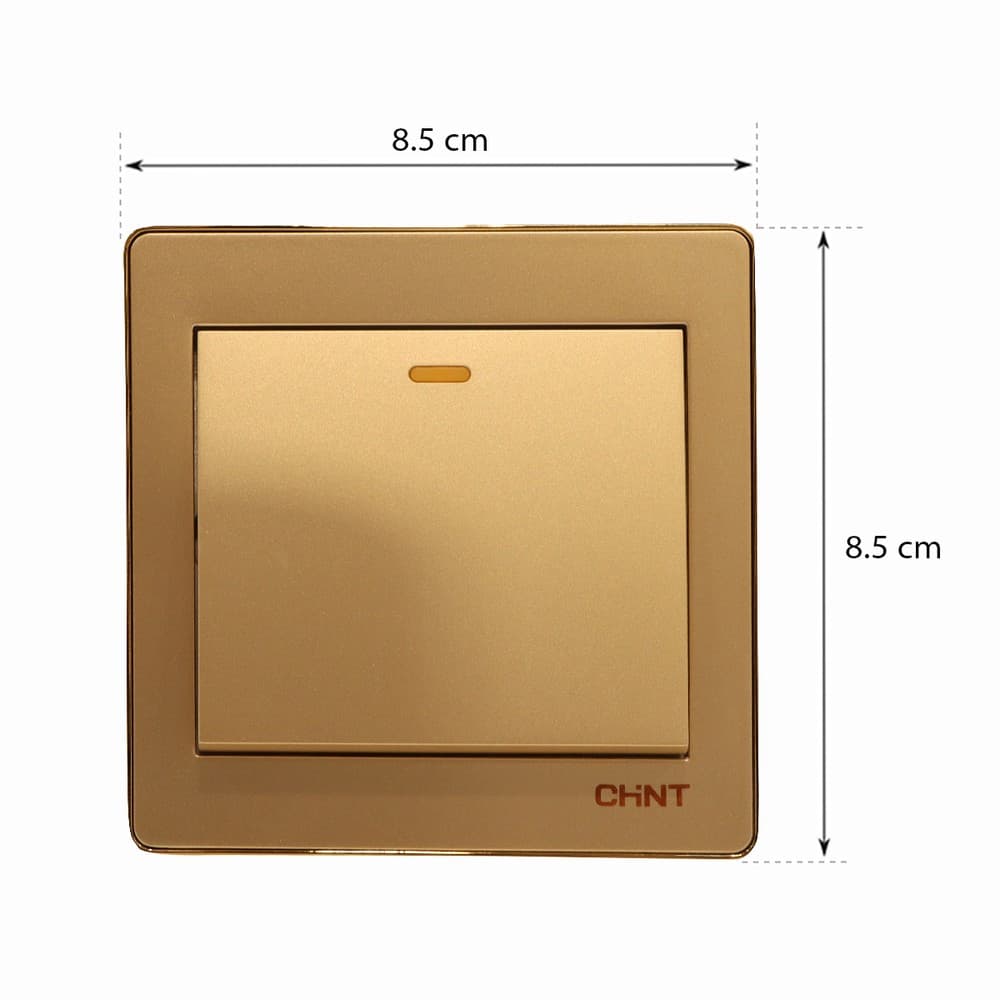 Switch 1G2W 16A 250V-Gd 10Y