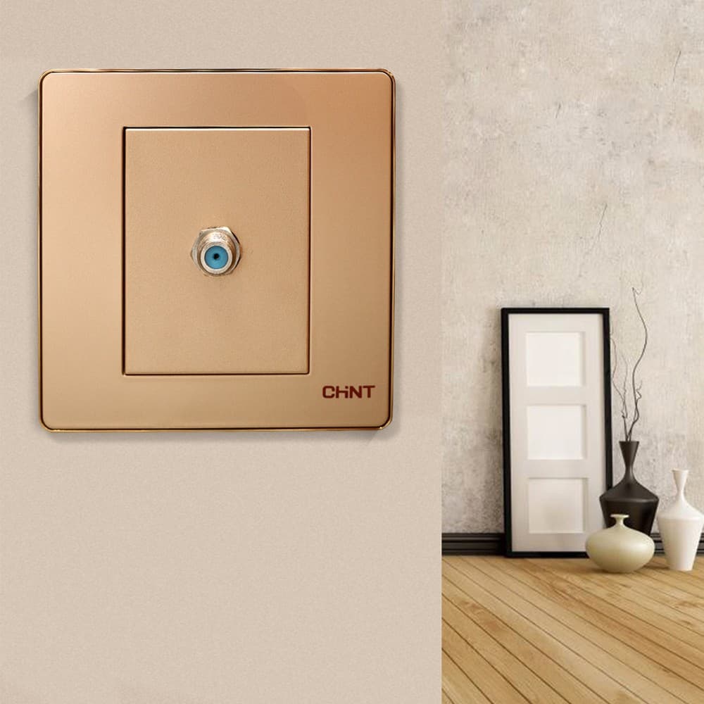 Switch 1G Sat Socket-Gd 10Y