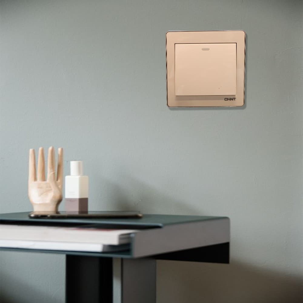Switch 1G1W 16A 250V 10Y