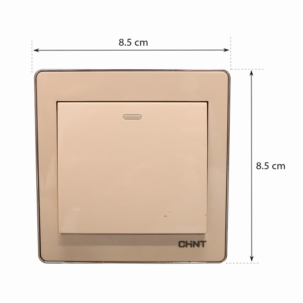 Switch 1G1W 16A 250V 10Y