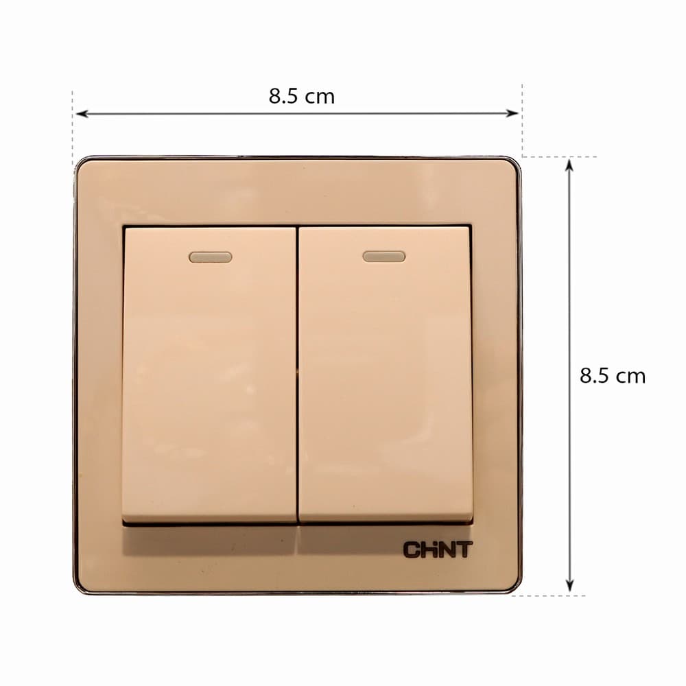 Switch 2G1W 16A 250V 10Y