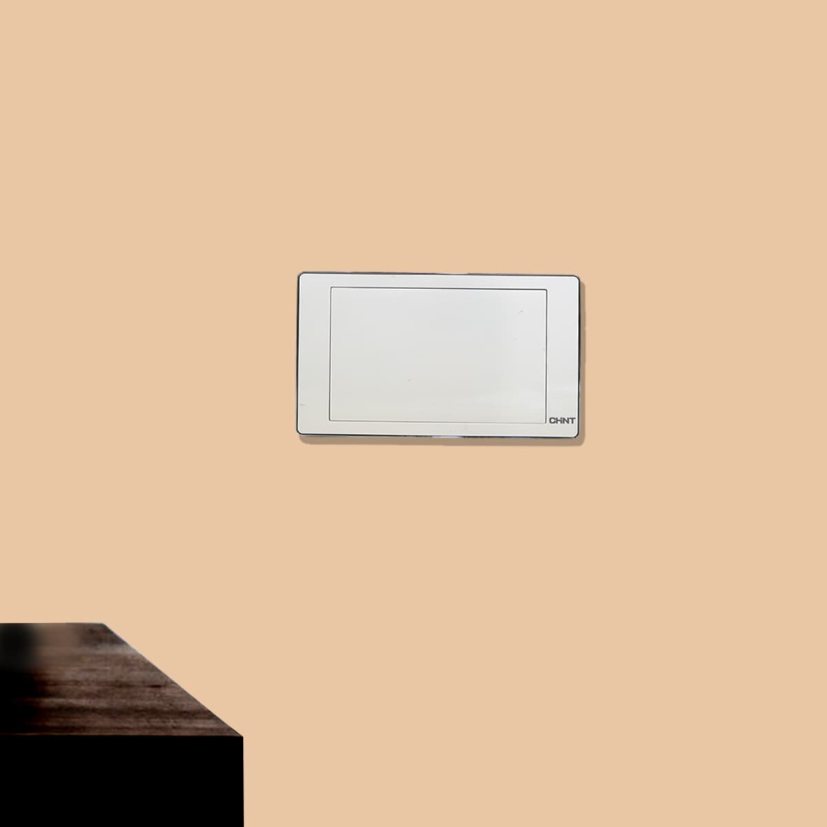 Switch 2G Blank Plate 3X6 10Y