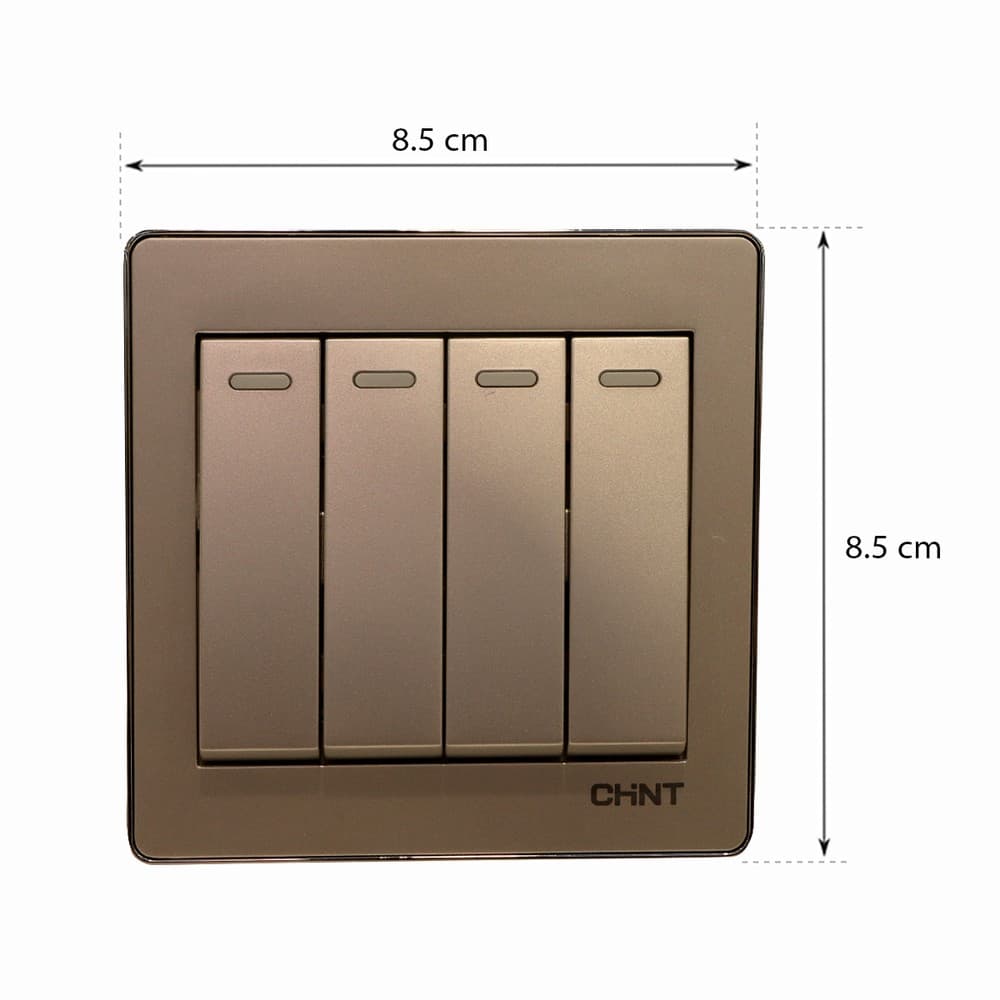 Switch 4G2W 16A 250V-Ch 10Y