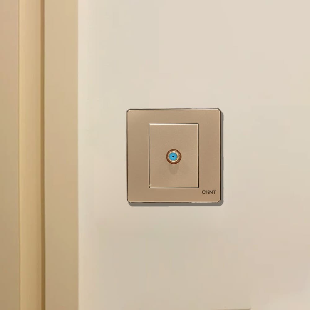 Switch 1G Sat Socket-Ch 10Y