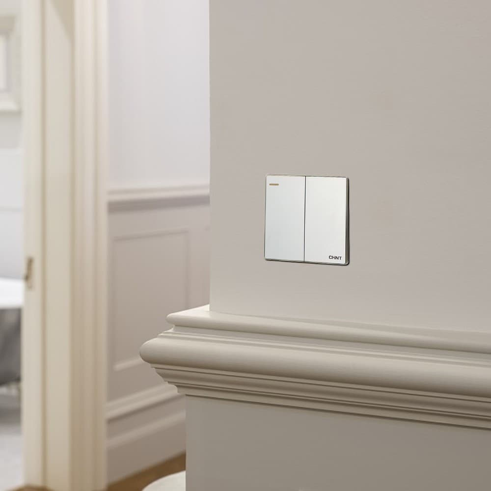 2G1W Switch 16Ax 250V 10Y