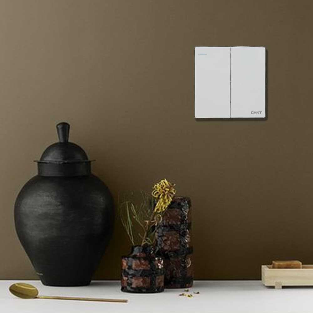 Switch 2G1W 16A 250V