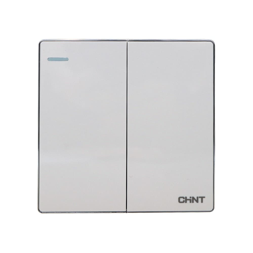 Switch 2G1W 16A 250V