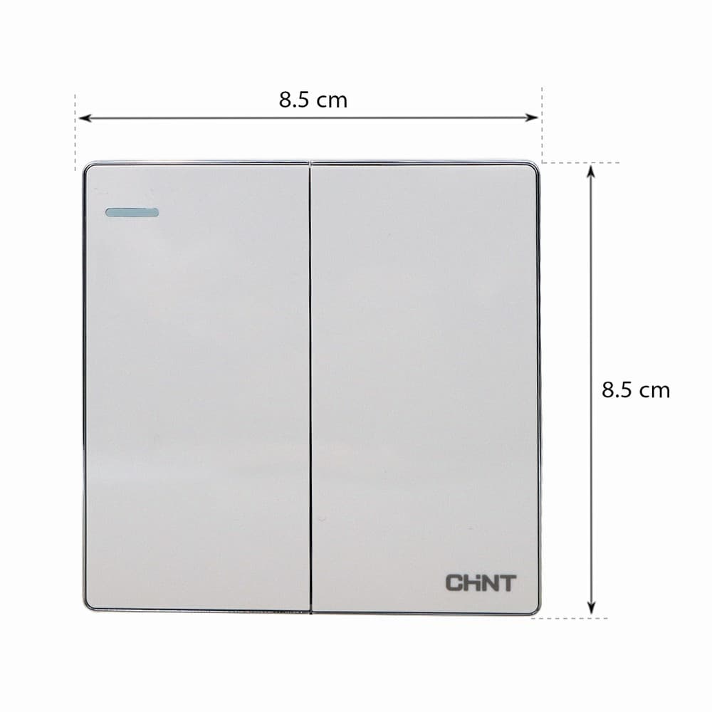 Switch 2G1W 16A 250V